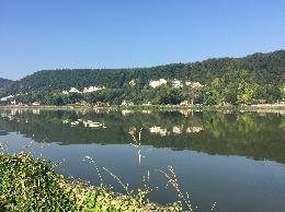 Vue de la randonnée Chemin de halage en bord de Seine et forêt domaniale de Roumare au départ de St-Pierre-de-Manneville, 76