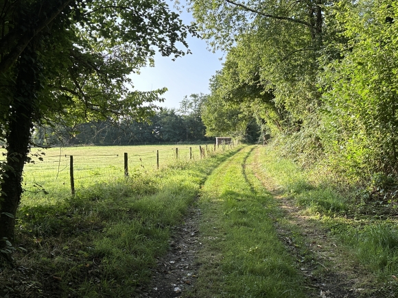 Vue de la randonnée Belle randonnée dans les bois au nord d'Evreux au départ de Bérengeville-la-Campagne, 27