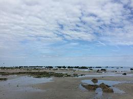 Vue de la randonnée Randonnée de Pourville à Quiberville par la plage à marée basse et ret au départ de Pourville-sur-Mer, 76