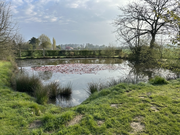 Vue de la randonnée Circuit du Theil au Bosc au départ de Le Gros-Theil, 27