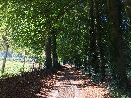 Vue de la randonnée Petit tour en forêt de Jumièges à partir de St-Paul (Duclair) au départ de Saint-Paul, 76