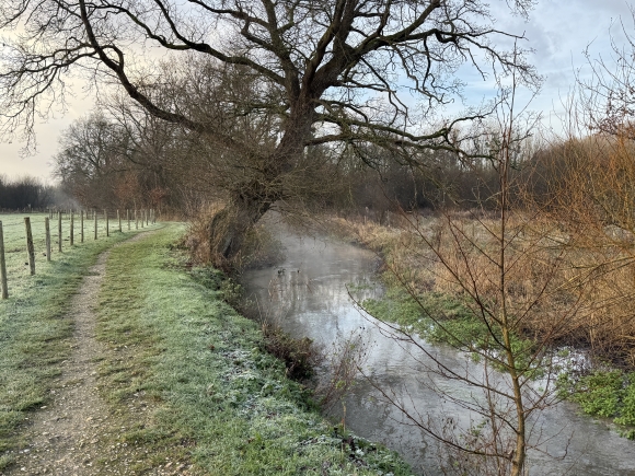 Vue de la randonnée Circuit des vallées de la Fontenelle et de la Rançon au départ de St-Wandrille-Rançon 3, 76