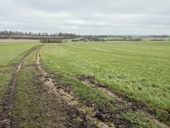 Vue de la randonnée Circuit Mauquenchy-Roncherolles & boucle de l'Hippodrome au départ de Mauquenchy, 76