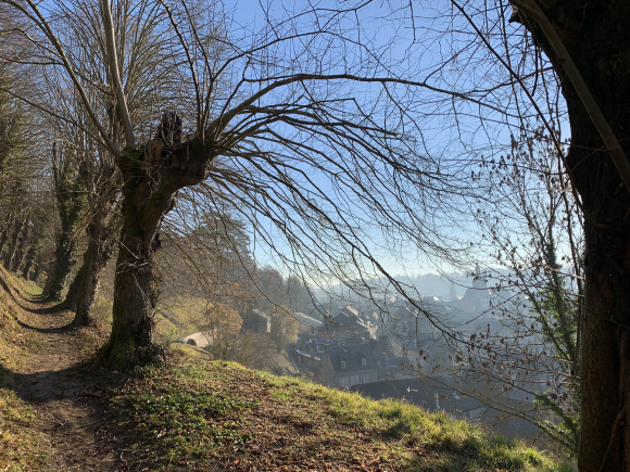 Vue de la randonnée Le délicieux circuits des Champeaux au départ de Bernay 2, 27