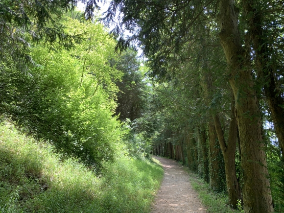 Vue de la randonnée Boucle entre la Sente aux Ifs et le bord de Seine au départ de Amfreville-la-mi-Voie, 76