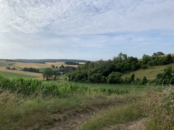 Vue de la randonnée Encore une belle randonnée en Pays-de-Bray ! au départ de Bures-en-Bray, 76