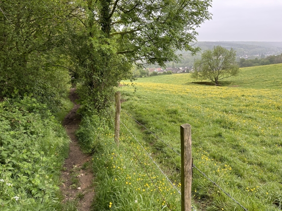 Vue de la randonnée Petits chemins préservés au nord de l'agglomération rouennaise au départ de Le Houlme, 76