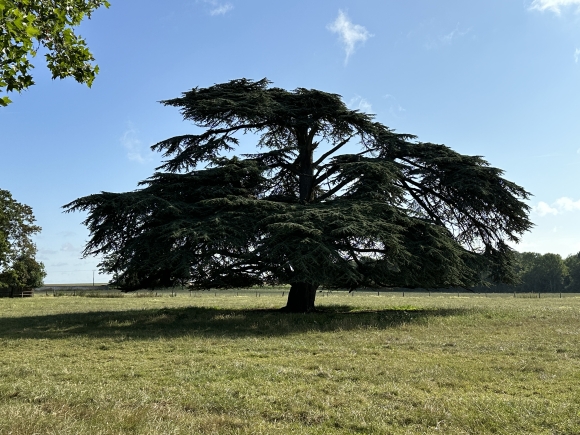 Vue de la randonnée De la vallée de l'Iton à l'arboretum du Prieuré au départ de Hondouville, 27