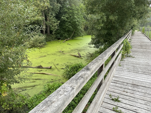 Vue de la randonnée Voie Verte et église semi-troglodyte d'Orival au départ de St-Aubin-lès-Elbeuf, 76