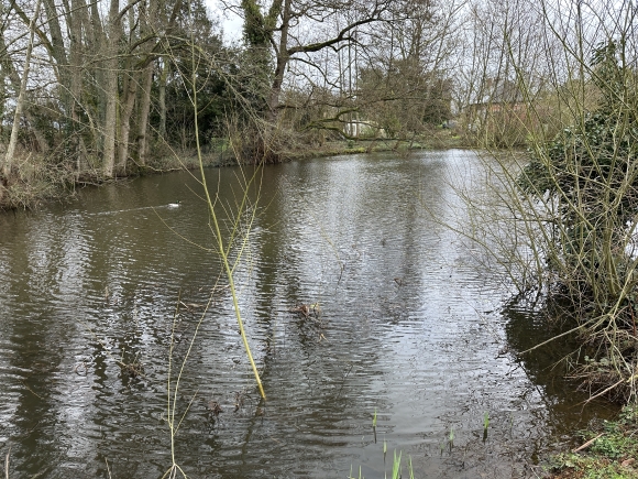 Vue de la randonnée Circuit de la Mare David au départ de Mesnil-Raoul, 76