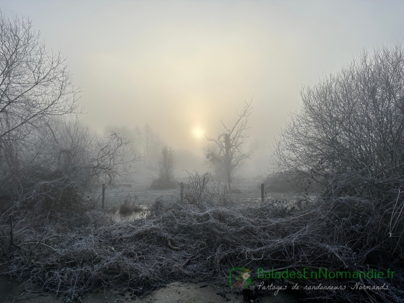 Vue de la randonnée Le Trait, la Voie Verte, le marais et la forêt  au départ de Le Trait 3, 76