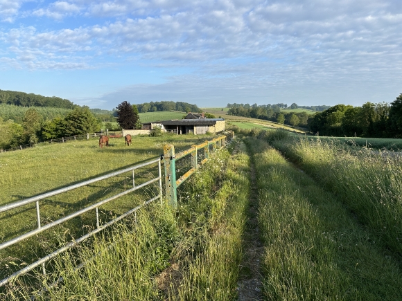Vue de la randonnée Circuit du Chemin des Ecoliers au départ de Grainville-sur-Ry, 76