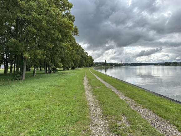 Vue de la randonnée Belle boucle au Trait entre forêt et bord de Seine au départ de Le Trait 2, 76