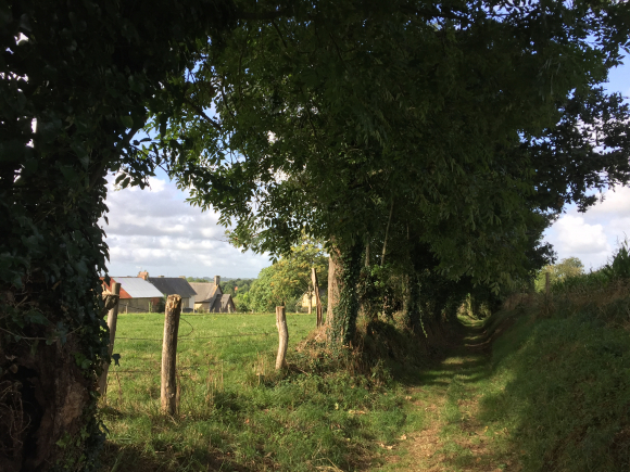 Vue de la randonnée Circuit du Moulin de Sey, dans le bocage au sud de Coutances au départ de Trelly, 50