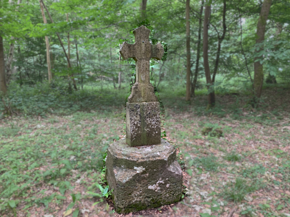 Vue de la randonnée Le circuit du gibet de Caudebec, forêt, légendes et patrimoine au départ de Caudebec gibet, 76