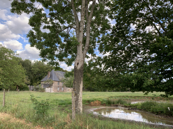 Vue de la randonnée Boucle entre Limésy et Cideville, non loin d'Yvetot au départ de Limésy, 76