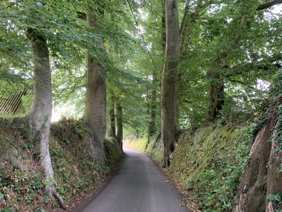 Vue de la randonnée Jolie petite boucle dans les vallons et les bois près d'Yvetot au départ de St-Clair-sur-les-Monts, 76