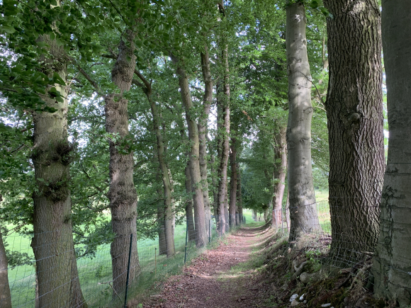 Vue de la randonnée Circuit du Mont Lévêque près d'Yvetot au départ de Hautot-le-Vatois, 76