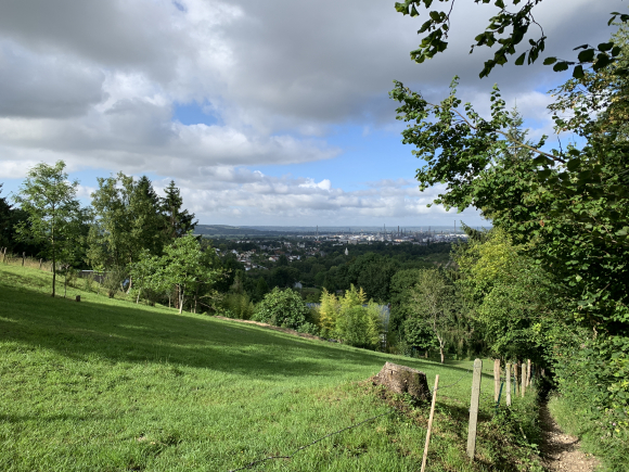 Vue de la randonnée Très belle randonnée sur les hauteurs de Notre-Dame-de-Gravenchon au départ de Triquerville, 76