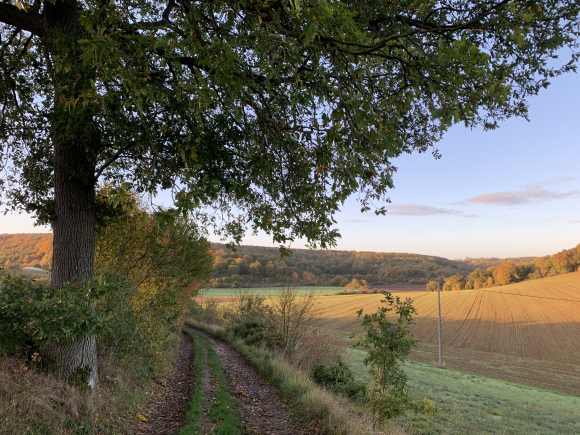 Vue de la randonnée Vallons de l'Eure et forêt de Merey au départ de Le Plessis-Hébert, 27