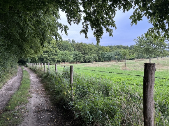 Vue de la randonnée Forêt domaniale de Bord-Louviers au départ de La Vallée, 27