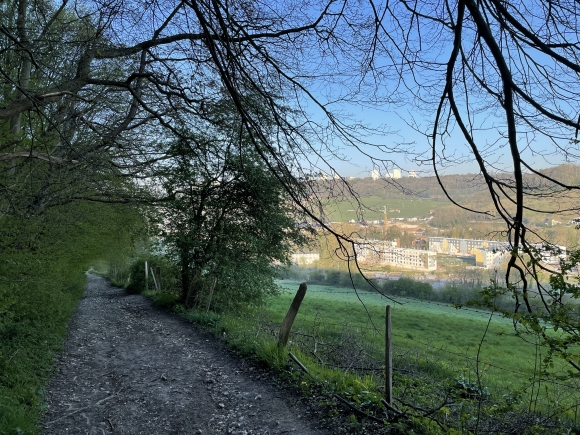 Vue de la randonnée Colline est de l'agglomération rouennaise, le bois du Grand Mont Briseuil au départ de Roncherolles-sur-le-Vivier 2, 76