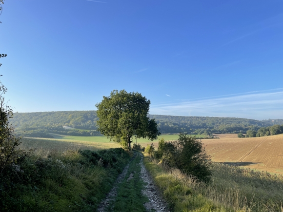 Vue de la randonnée jolie randonnée de 13km près de Pacy-sur-Eure au départ de Le Plessis-Hébert 2, 27