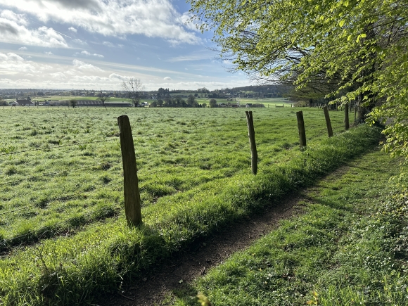 Vue de la randonnée Bord de Seine, allées forestières et chemins champêtres au départ de La Mailleraye-sur-Seine 2, 76