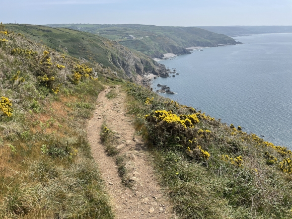 Vue de la randonnée Sentier du Littoral au nez de Jobourg au départ de Jobourg, 50
