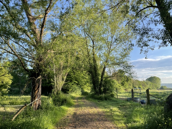 Vue de la randonnée Circuit autour de Pinterville au départ de Pinterville, 27