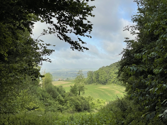 Vue de la randonnée Circuit de La Montagne, en Pays-de-Bray au départ de Bouelles, 76