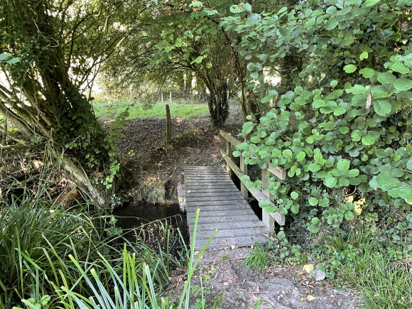 Vue de la randonnée Sentiers boisés et passerelles de fortune dans le Lieuvin au départ de St-Etienne-l'Allier, 27
