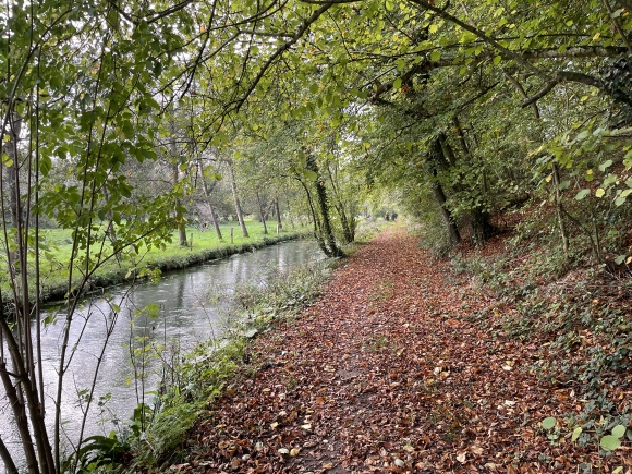 Vue de la randonnée Le circuit de la Durdent au départ de Ancourteville-sur-Héricourt, 76