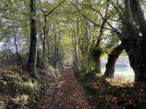 Vue de la randonnée Campagne résidentielle entre Pont-Audemer et Honfleur au départ de Saint-Maclou, 27