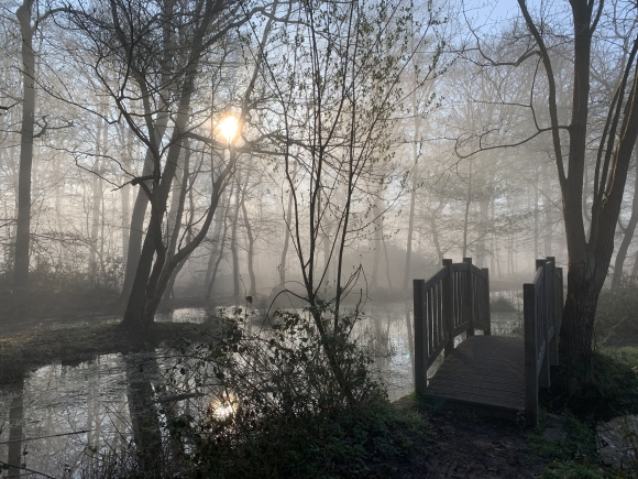 Vue de la randonnée Les quatre mares de la forêt de Roumare au départ de Forêt de Roumare, 76