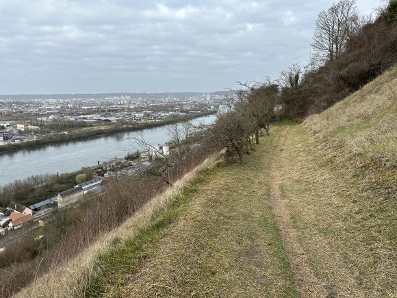 Vue de la randonnée Les panoramas du chemin de Crosne au départ de Amfreville-la-Mi-Voie 2, 76