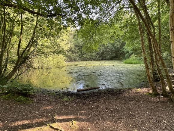 Vue de la randonnée Circuit de la Mare Baumarquet au départ de Oissel 3, 76