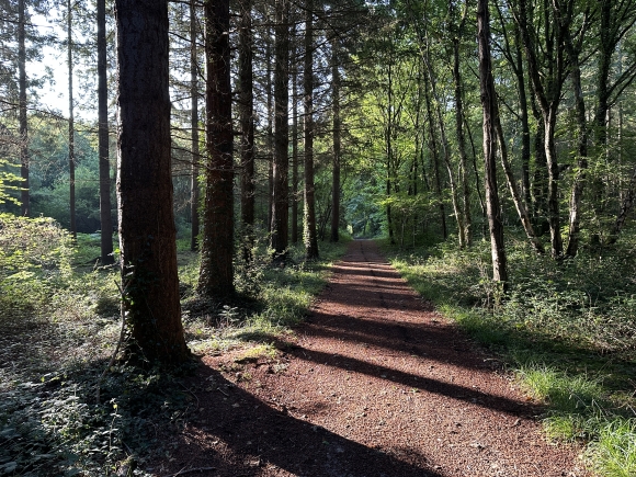 Vue de la randonnée Entre la Touques et le Chaussay au départ de Fierville-les-Parcs, 14