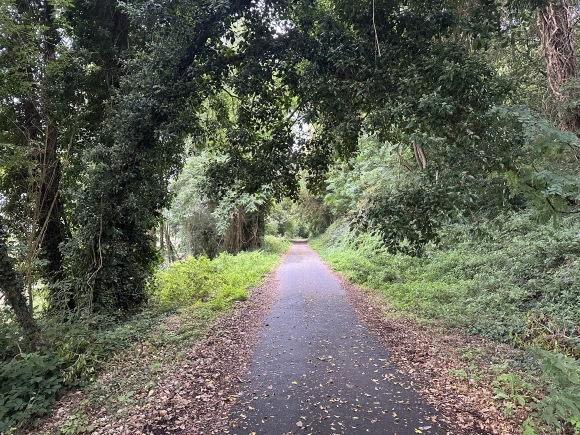 Vue de la randonnée Boucle avec la Voie Verte et le GR2 au départ de Duclair 2, 76