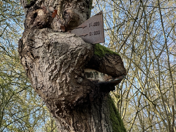 Vue de la randonnée 3 arbres remarquables en forêt de Bord-Louviers au départ de Louviers 2, 27