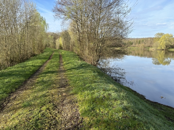 Vue de la randonnée Circuit « Un chemin, une école » au départ de Crèvecoeur, 76