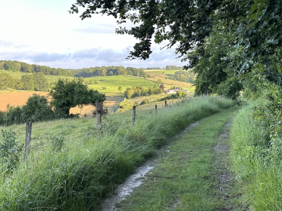Vue de la randonnée Circuit des Grellemonts au départ de Ry 2, 76