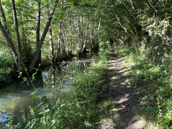Vue de la randonnée Circuit de la Vallée du Guiel au départ de Montreuil-l'Argillé, 27