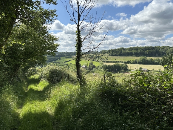 Vue de la randonnée La Ritournelle des Oiseaux au départ de St-Julien-de-Mailloc, 14