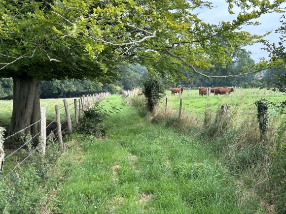 Vue de la randonnée Circuit Terre de Lin au départ de St-Pierre-le-Viger, 76