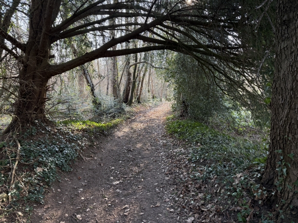 Vue de la randonnée Autour du douet du Mieux au départ de Le Breuil-en-Auge, 14