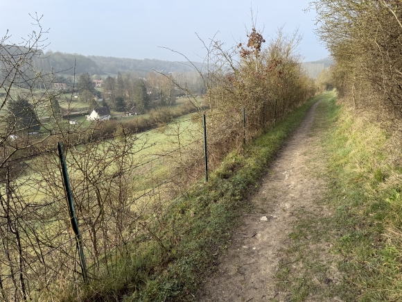 Vue de la randonnée Circuit de la forêt d'Elbeuf au départ de St-Cyr-la-Campagne, 76