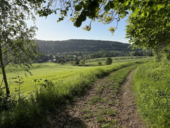 Vue de la randonnée Circuit du Frais Vent au départ de Brosville, 27