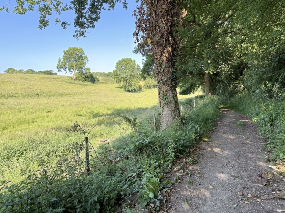 Vue de la randonnée Le circuit de Branville au départ de Franqueville-St-Pierre, 76