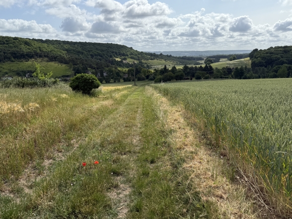 Vue de la randonnée Circuit Collines et Vallons au départ de Jouy-sur-Eure, 27